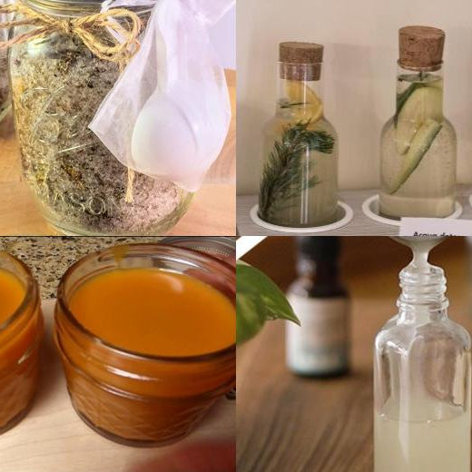 The Ancient Herbal Apothecary Handbook (FREE Today)